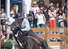 Pferd International 091